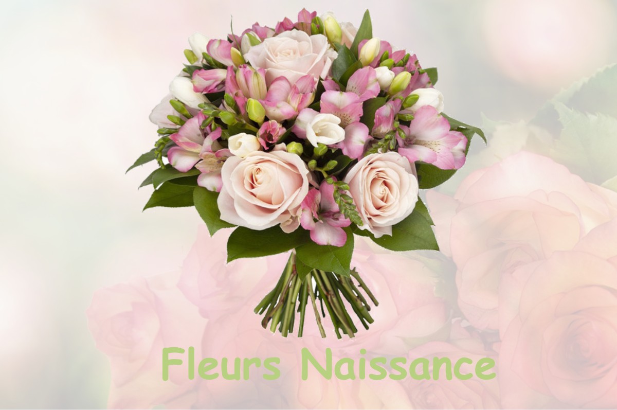 fleurs naissance MASCARVILLE