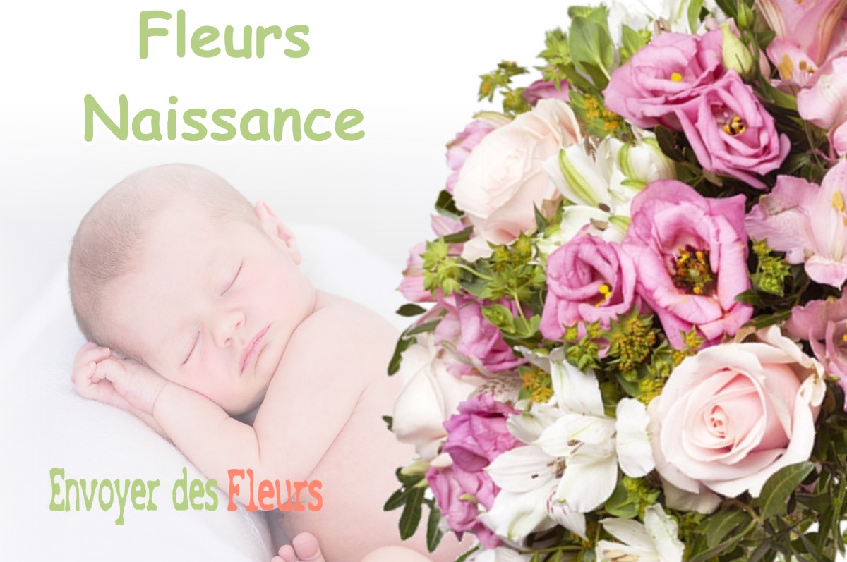 lIVRAISON FLEURS NAISSANCE à MASCARVILLE